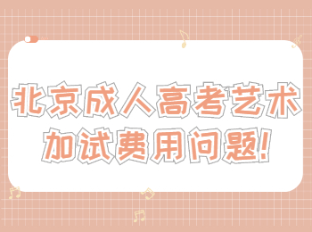 北京成人高考藝術(shù)加試