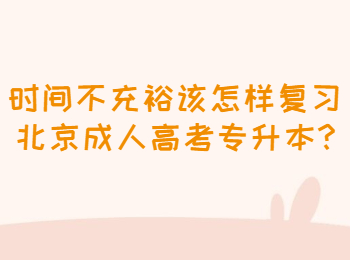 北京成人高考專升本