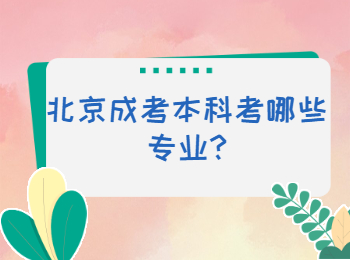 北京成考本科考哪些專業(yè)