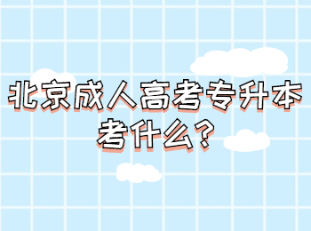 北京成人高考專(zhuān)升本考什么