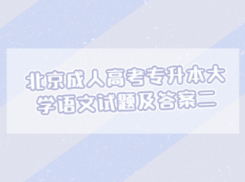 北京成人高考專升本大學(xué)語文
